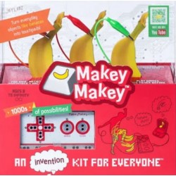 Makey Makey kit